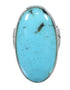 Silver And Southwestern Turquoise Jewelry Ring Size 4-3/4 AX84165